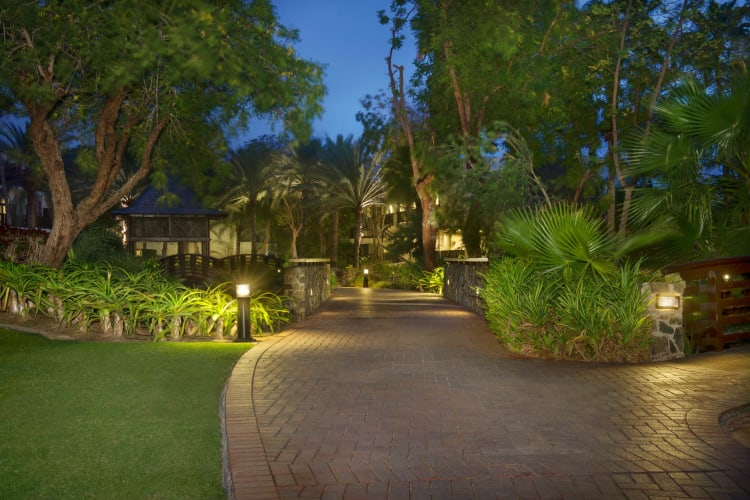 Gardens in evening